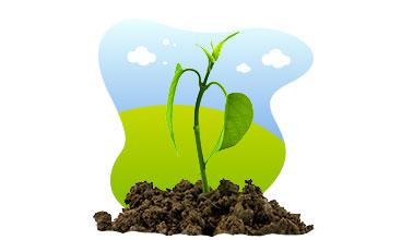 GROWING CROPS