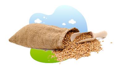 PRODUCTION OF FEEDSTUFFS